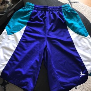 Jordan Charlotte Hornets color / Grape shorts